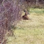 Aaron Lefebvre - @aaron.lefebvre.92 - Instagram