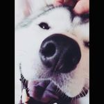 Aaron-leffel - @aaron_leffel354 - Instagram