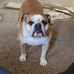 Aaron Leffert - Facebook