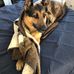 Aaron Leischner - Facebook