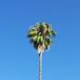 Aaron Leitz - Facebook