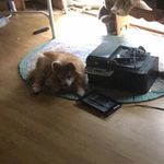 Aaron Lemaster - @ededdaneddy26111 - Instagram