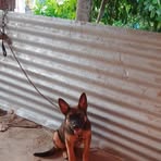 Aaron Lemus - Facebook