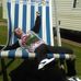 Aaron Lenahan - Facebook