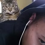 Aaron Lenker - @lenkeraaron - Instagram