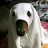 Aarón Lenon - @arn._lion - TikTok