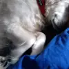 Aaron cool - @aaronlenz490 - TikTok
