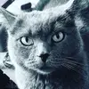 aaronlenz750 - @hc_spooky - TikTok