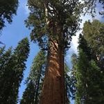 Aaron Lenzini - @lenziniaaron - Instagram