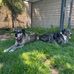 Aaron Leonhardt - Facebook