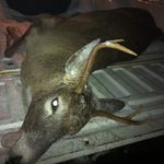 Aaron Lepine - @deadeye2.0 - Instagram