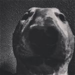 Aaron lepley - @lepleyaaron5 - Instagram