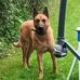 Aaron Lefin - Facebook