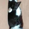 Aaron Le roux - @aaron.le.roux - TikTok