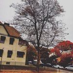 @aaronleroux - Instagram