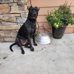 Aaron Leschi - Facebook