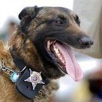 Aaron Lessard - @pdk9lover - Instagram