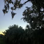 Aaron Levin - @aaron.82.levin - Instagram