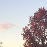 Aaron Levin - @aaron.has.fun - Instagram