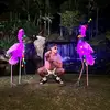 aaron.levin_ - @aaron.levin_ - TikTok