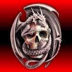 Aaron Loomis - @loomis.aaron - Instagram