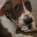 Aaron Lord - Facebook