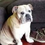 Aaron lorenzo  Gonzalez - @aaronlorenzogonzalez - Instagram