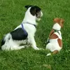 aaron lowe - @aaron.lowe3 - TikTok
