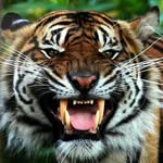 Aaron Loya - @loya.aaron - Instagram