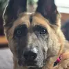 aaronluce72 - @aaronluce77 - TikTok