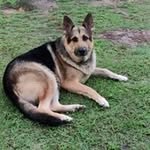 Aaron Lunt - @aplunt0728 - Instagram