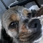 @aaron_macgregor_ - Instagram