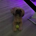 Aaron Mackay - @aaron.mackay23 - Instagram