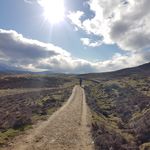 Aaron MacLeod - @aaron_j_macleod - Instagram