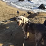 Aaron Maczuga - @texan_ranger - Instagram