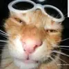 wazaaaaa - @aaronmaday - TikTok