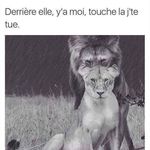 Majid Aaron - @majid_aaron - Instagram