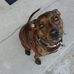 Aaron Magri - Facebook