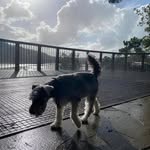 Aaron Mahon - @aaronmahon - Instagram