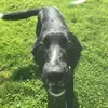 Aaron Mahon - @aaron.mahon0 - TikTok