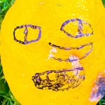 Aaron Maier-Carretero - @aaronmaier_ - Instagram