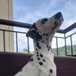 Aaron Maiden - @aaronmaiden1702 - Instagram