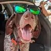 Aaron Makinen470 - @aaronmakinen470 - TikTok