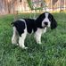 Aaron Malchose - Facebook