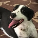 Aaron Malki - @aaron_malki - Instagram