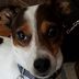 Aaron Malley - Facebook