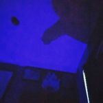 Aaron Maloy - @dat.boi_ugly - Instagram
