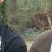 Aaron Mancha Sr. - Facebook