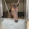 Aaron Mander - @aaron.mander - TikTok