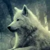 Aaron Manjarrez - @32741335874 - TikTok
